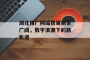 湖北推广网站搭建前景广阔,数字浪潮下的新机遇 湖北推广网站搭建前景广阔,数字浪潮下的新机遇