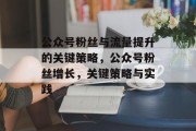 公众号粉丝与流量提升的关键策略,公众号粉丝增长,关键策略与实践 公众号粉丝与流量提升的关键策略,公众号粉丝增长,关键策略与实践