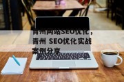 青州网站SEO优化，青州 SEO优化实战案例分享