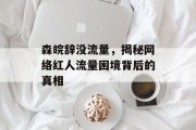 森皖辞没流量,揭秘网络红人流量困境背后的真相 森皖辞没流量,揭秘网络红人流量困境背后的真相