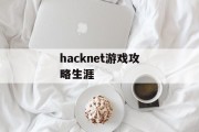 hacknet游戏攻略生涯