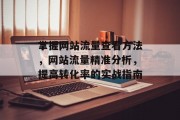 掌握网站流量查看方法，网站流量精准分析，提高转化率的实战指南
