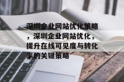 深圳企业网站优化策略，深圳企业网站优化，提升在线可见度与转化率的关键策略