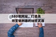 SEO微网站,打造高效营销利器的秘密武器 SEO微网站,打造高效营销利器的秘密武器