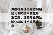 深度挖掘江苏专业网站优化SEO技术的应用及实践,江苏专业网站优化SEO技术实战分享 深度挖掘江苏专业网站优化SEO技术的应用及实践,江苏专业网站优化SEO技术实战分享