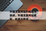 外国流量网站的崛起与挑战，外国流量网站崛起，机遇与挑战