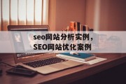 seo网站分析实例,SEO网站优化案例 seo网站分析实例,SEO网站优化案例