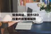 镜像网站，提升SEO权重的新策略解析