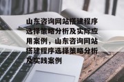 山东咨询网站搭建程序选择策略分析及实际应用案例，山东咨询网站搭建程序选择策略分析及实践案例