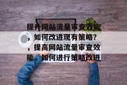 提升网站流量审查效能，如何改进现有策略？，提高网站流量审查效能，如何进行策略改进