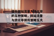提升网站流量与转化率的五种策略,网站流量与转化率提升策略五大方案 提升网站流量与转化率的五种策略,网站流量与转化率提升策略五大方案