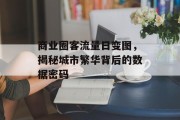 商业圈客流量日变图,揭秘城市繁华背后的数据密码 商业圈客流量日变图,揭秘城市繁华背后的数据密码
