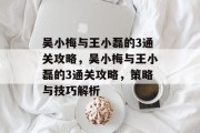 吴小梅与王小磊的3通关攻略,吴小梅与王小磊的3通关攻略,策略与技巧解析 吴小梅与王小磊的3通关攻略,吴小梅与王小磊的3通关攻略,策略与技巧解析