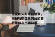 流量巨头布局新篇章,揭秘收购流量网站的幕后策略与市场前景 流量巨头布局新篇章,揭秘收购流量网站的幕后策略与市场前景