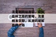 流量刷网站源码，破解盈利之路的策略，流量精准获取，从源码破解盈利之路