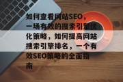 如何查看网站SEO,一场有效的搜索引擎优化策略,如何提高网站搜索引擎排名,一个有效SEO策略的全面指南