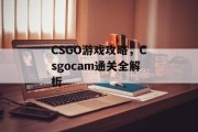 CSGO游戏攻略,Csgocam通关全解析 CSGO游戏攻略,Csgocam通关全解析