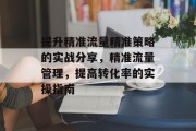 提升精准流量精准策略的实战分享,精准流量管理,提高转化率的实操指南 提升精准流量精准策略的实战分享,精准流量管理,提高转化率的实操指南