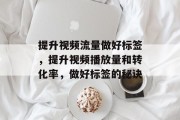 提升视频流量做好标签,提升视频播放量和转化率,做好标签的秘诀 提升视频流量做好标签,提升视频播放量和转化率,做好标签的秘诀