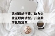 武威网站搭建，助力企业互联网转型，开启数字化新篇章