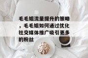 毛毛姐流量提升的策略,毛毛姐如何通过优化社交媒体推广吸引更多的粉丝 毛毛姐流量提升的策略,毛毛姐如何通过优化社交媒体推广吸引更多的粉丝