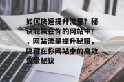 如何快速提升流量?秘诀隐藏在你的网站中!,网站流量提升秘籍,隐藏在你网站中的高效流量秘诀