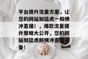 平台提升流量方案，让您的网站如猛虎一般横冲直撞！，爆款流量提升策略大公开，您的网站如猛虎般横冲直撞必备！