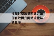 揭秘付费流量网站，如何有效提升网站流量与转化率