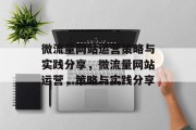微流量网站运营策略与实践分享，微流量网站运营，策略与实践分享