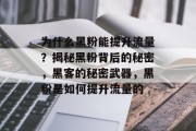 为什么黑粉能提升流量?揭秘黑粉背后的秘密,黑客的秘密武器,黑粉是如何提升流量的 为什么黑粉能提升流量?揭秘黑粉背后的秘密,黑客的秘密武器,黑粉是如何提升流量的