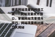 提高网站流量的终极工具——网站流量统计接口，掌握网站流量提升技巧，网站流量统计接口大揭秘