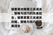 猫里奥攻略第三关通关，策略与技巧的完美结合，猫里奥第三关通关攻略，策略与技巧的完美结合