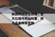 陕西网站优化攻略，全方位提升网站权重，助力企业网络营销