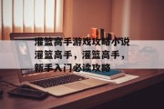 灌篮高手游戏攻略小说灌篮高手，灌篮高手，新手入门必读攻略