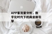 APP客流量分析,数字化时代下的商业新引擎 APP客流量分析,数字化时代下的商业新引擎