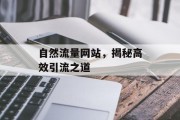 自然流量网站，揭秘高效引流之道