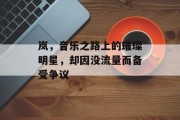 岚,音乐之路上的璀璨明星,却因没流量而备受争议 岚,音乐之路上的璀璨明星,却因没流量而备受争议