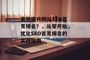 高效提升网站SEO首页排名?,从零开始,优化SEO首页排名的实战指南 高效提升网站SEO首页排名?,从零开始,优化SEO首页排名的实战指南