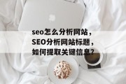 seo怎么分析网站，SEO分析网站标题，如何提取关键信息？