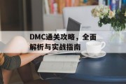 DMC通关攻略，全面解析与实战指南