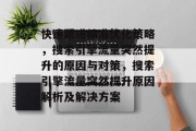 快速跟进精准优化策略，搜索引擎流量突然提升的原因与对策，搜索引擎流量突然提升原因解析及解决方案