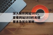 深入解析网站SEO，查看网站SEO的关键要素及优化策略