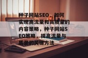 种子网站SEO，如何实现高流量和高质量的内容策略，种子网站SEO策略，提高流量与质量的关键方法