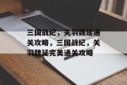 三国战纪，关羽魏延通关攻略，三国战纪，关羽魏延完美通关攻略