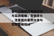 客户流量提升案例分析与实践策略,营销优化,流量提升案例分享与实践策略探讨