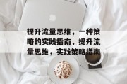 提升流量思维，一种策略的实践指南，提升流量思维，实践策略指南
