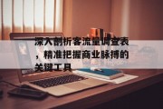 深入剖析客流量调查表，精准把握商业脉搏的关键工具