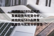 湖南网站SEO品牌的发展趋势与优势分析，湖南网站SEO品牌发展趋势与优势分析报告