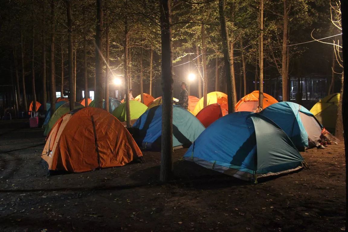 主题露营活动游戏攻略(主题露营活动游戏攻略大全) 主题露营活动游戏攻略(主题露营活动游戏攻略大全)