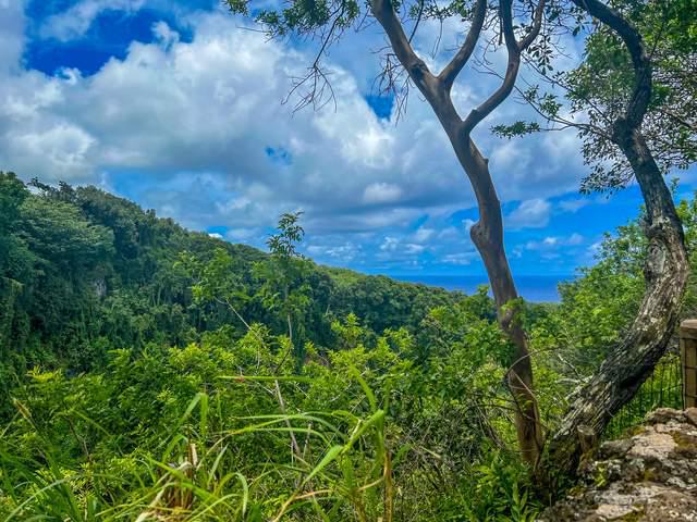 夏威夷攻略游戏(夏威夷攻略为你准备好!热到想马上下海!) 夏威夷攻略游戏(夏威夷攻略为你准备好!热到想马上下海!)